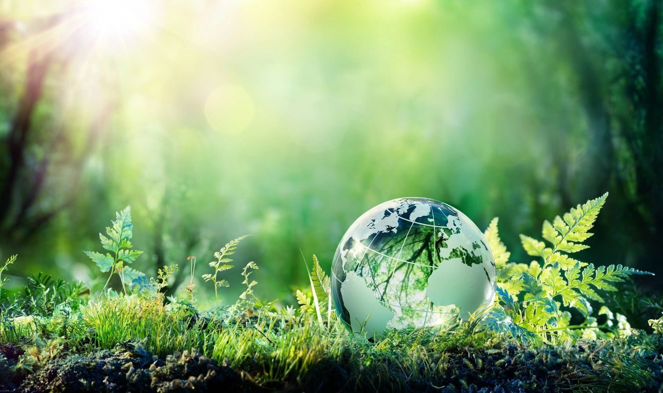 Glass Earth globe resting in soft-lit green ferns