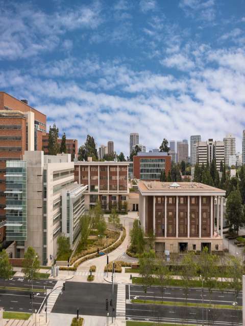 Image of the UCLA Jules Stein Eye Institute