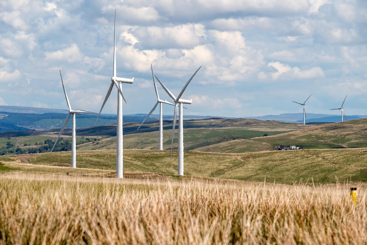 Photo of a windfarm on hills.
