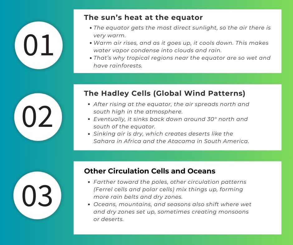 The Sun’s Heat at the Equator

The equator gets the most direct sunlight, so the air there is very warm.

Warm air rises, and as it goes up, it cools down. This makes water vapor condense into clouds and rain.

That’s why tropical regions near the equator are so wet and have rainforests.

The Hadley Cells (Global Wind Patterns)

After rising at the equator, the air spreads north and south high in the atmosphere.

Eventually, it sinks back down around 30° north and south of the equator.

Sinking air is dry, which creates deserts like the Sahara in Africa and the Atacama in South America.

Other Circulation Cells and Oceans

Farther toward the poles, other circulation patterns (Ferrel cells and polar cells) mix things up, forming more rain belts and dry zones.

Oceans, mountains, and seasons also shift where wet and dry zones set up, sometimes creating monsoons or deserts.