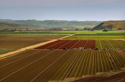 A photo of rows of green and red lettuce with beautiful green hills in the background. Agriculture is a big contributor to nitrous oxide, or N2O.