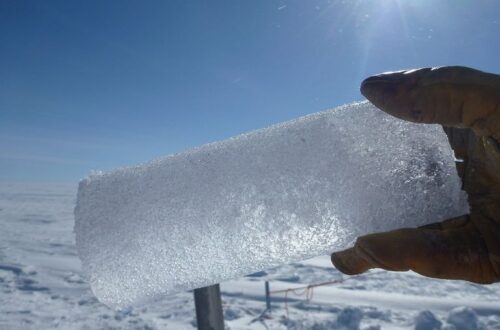 A photo of a person wearing a glove holding a large cylinder of ice.