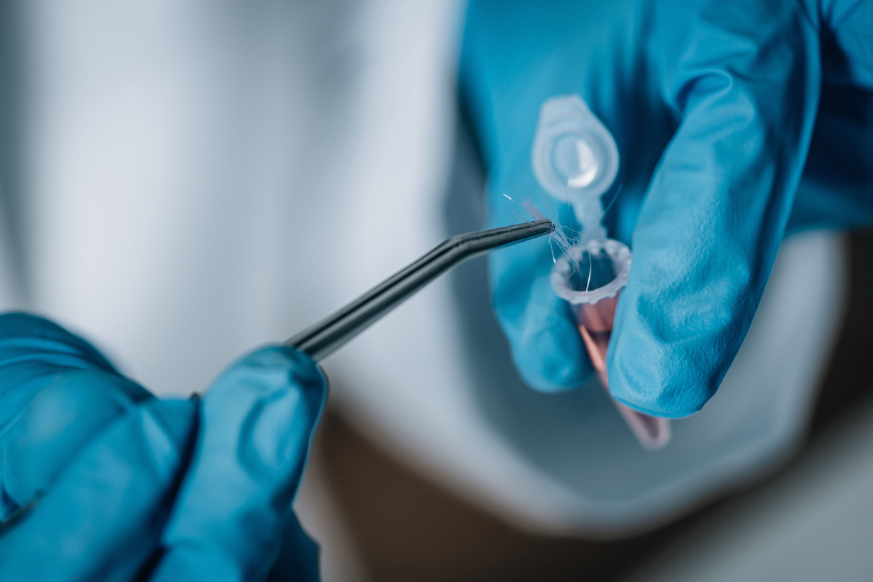 An image of a scientist wearing blue rubber gloves placing hair strands in a test tube with forceps. The purpose is to test hair samples for cancer-linked ingredients. 