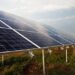 A group of solar panels over a field with the sun overhead.
