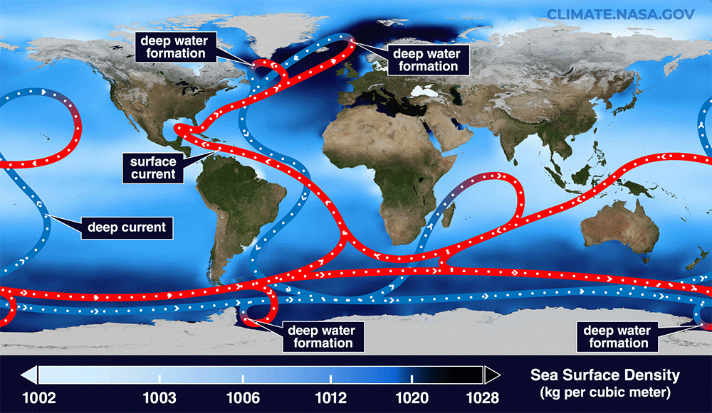  A simplified illustration of the AMOC, or the global “conveyor belt” of ocean currents that transport heat around Earth. Red shows surface currents, and blue shows deep currents. Deep water forms where the sea surface is the densest. 