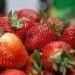 A bowl of red, juicy strawberries.