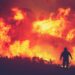 A photo of two firefighters on a hill fighting a wall of huge flames.