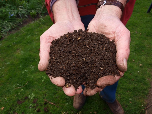 A person with cupped hands holding compost that looks like dark brown dirt. Composting is one of the tips for a greener Thanksgiving.
